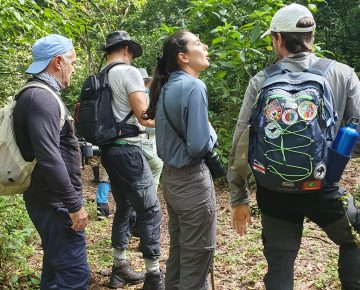 3 Days Bwindi Gorilla Habituation from Kigali