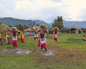 Gorilla Guardians Village