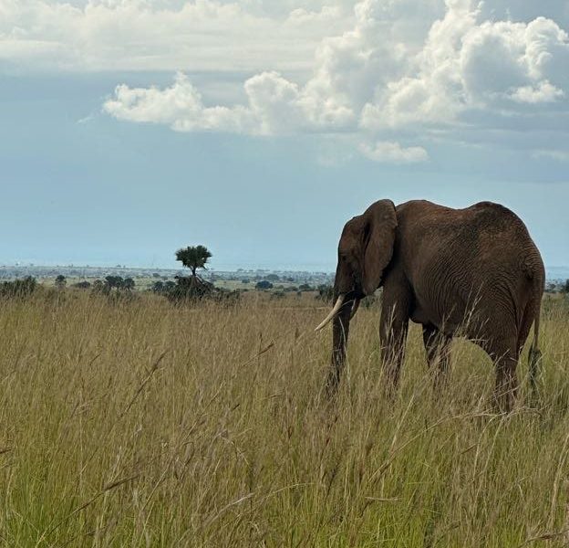 Amboseli National Park