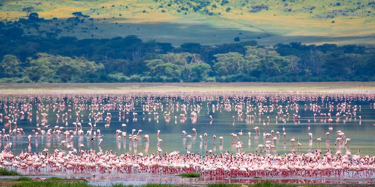 Lake Manyara National Park