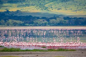 Lake Manyara National Park