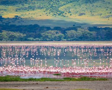 Lake Manyara National Park