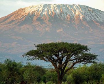 Mount Kilimanjaro