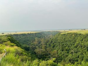 Chimpanzee trekking in Kibale Kyambura Gorge