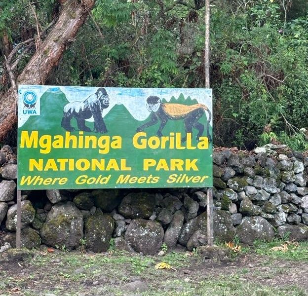 Gorilla Trekking and Golden Monkey Trekking in Uganda