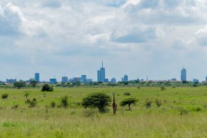 Nairobi City Tour