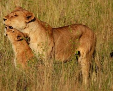 10 Days Tanzania Honeymoon Adventure