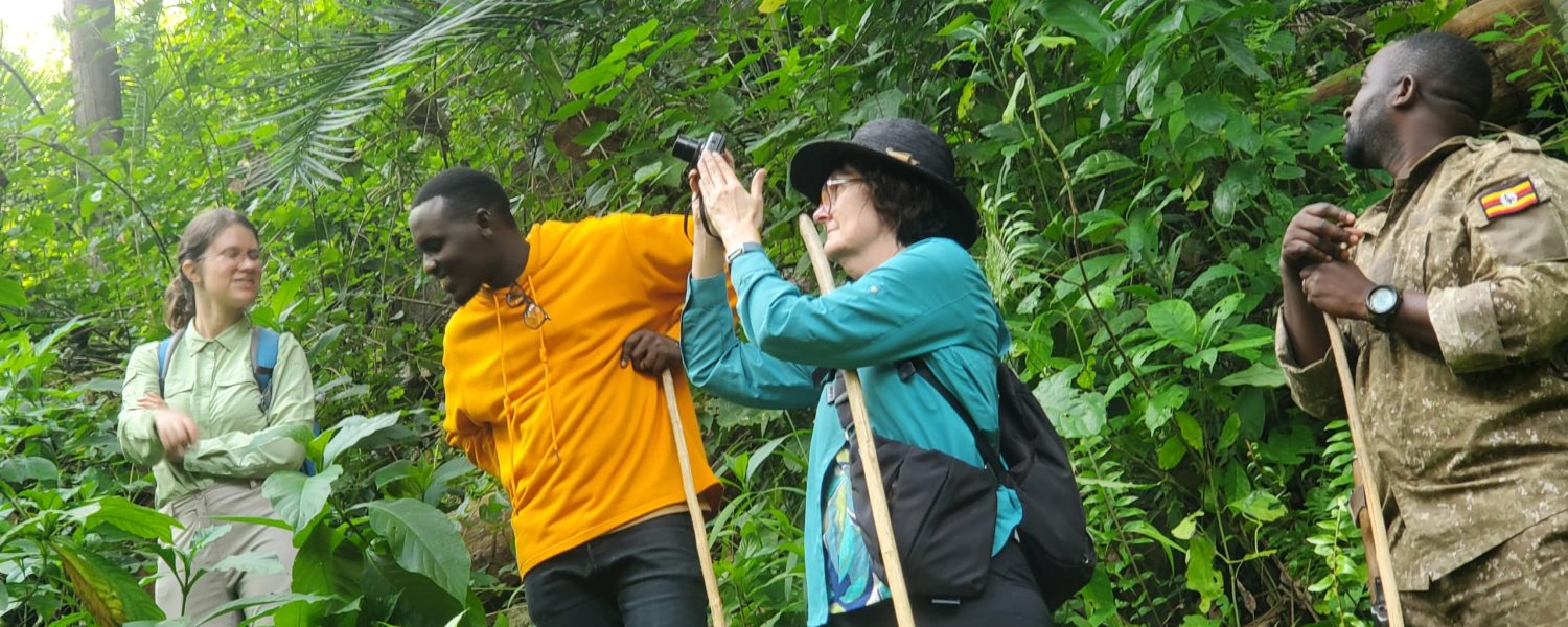 Chimpanzee trekking Kibale Nyungwe