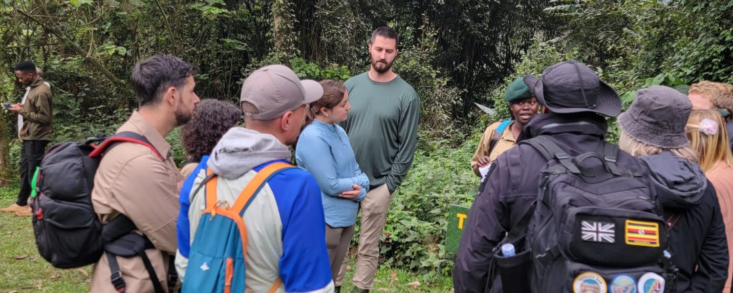 Compare Gorilla and Chimpanzee Trekking in Uganda