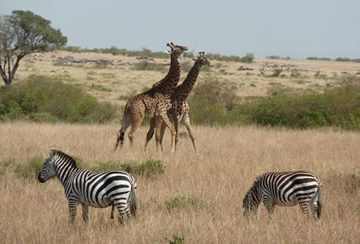 3 Days Samburu National Park Safari