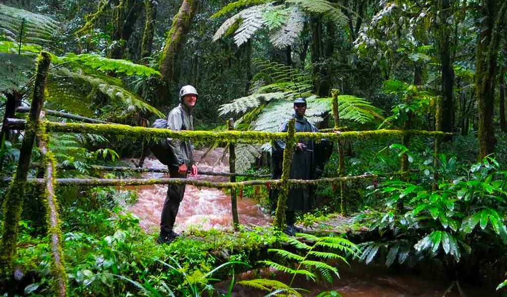 Bwindi Impenetrable National Park