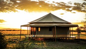 Tented Safari Camps in Serengeti National Park