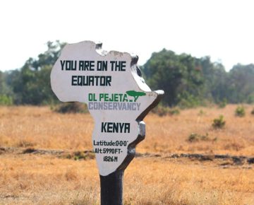 Ol Pejeta Conservancy and Chimpanzee Trekking