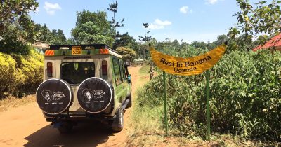 Banana Experience in Kibale National Park