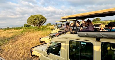 Day Tours in Akagera National Park